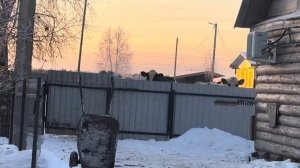 Пришли холода, на улице -33! Как справляемся с таким огромным хозяйством! Отогреваем МТЗ!