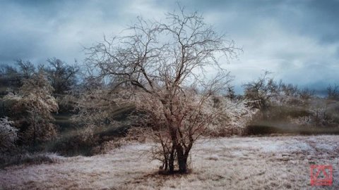 Св. Кассиан Римлянин Десять собеседований отцов ч45