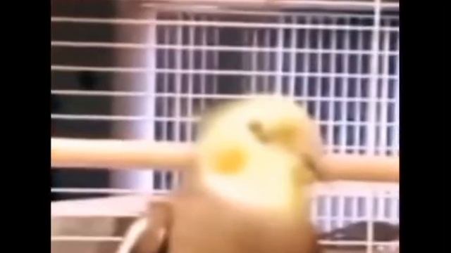 КАНИКУЛЫ СКОРОООО УРААААА