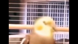 КАНИКУЛЫ СКОРОООО УРААААА