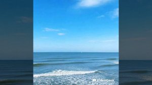 Мечты сбываются