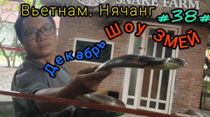 Шоу змей. Вьетнам, декабрь