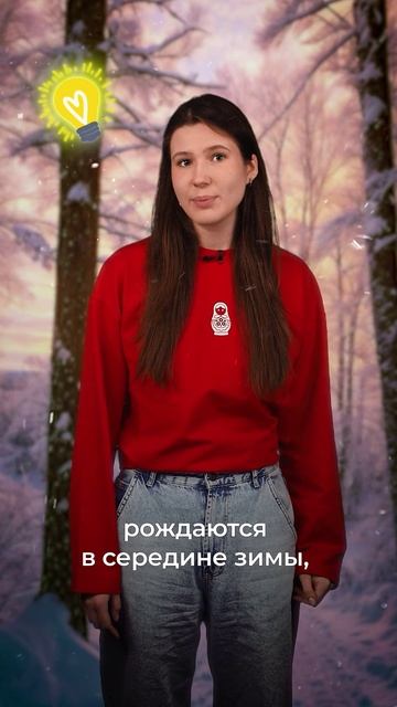 День медведя | День за днём смотреть онлайн