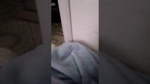 Макс попал ко мне домой строим туннель чтобы он обратно попал в Кузнецк