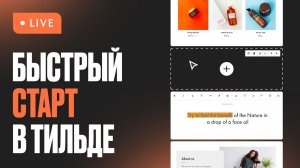 Быстрый старт в Тильде. Начало работы с конструктором