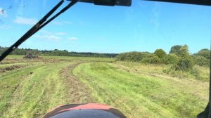 Пополнение у катумских овец ! + 1 теленок Герефорд! Работа в полях продолжается! Сену быть!