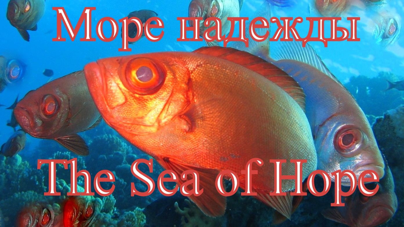 Море надежды
