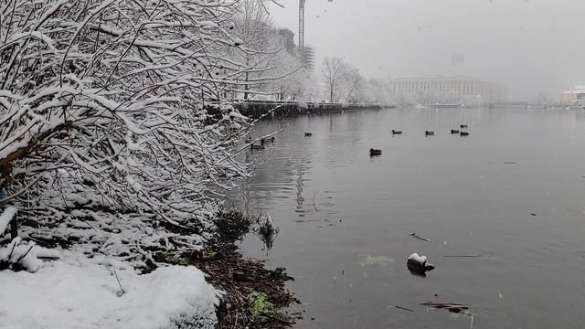 Сильный снегопад