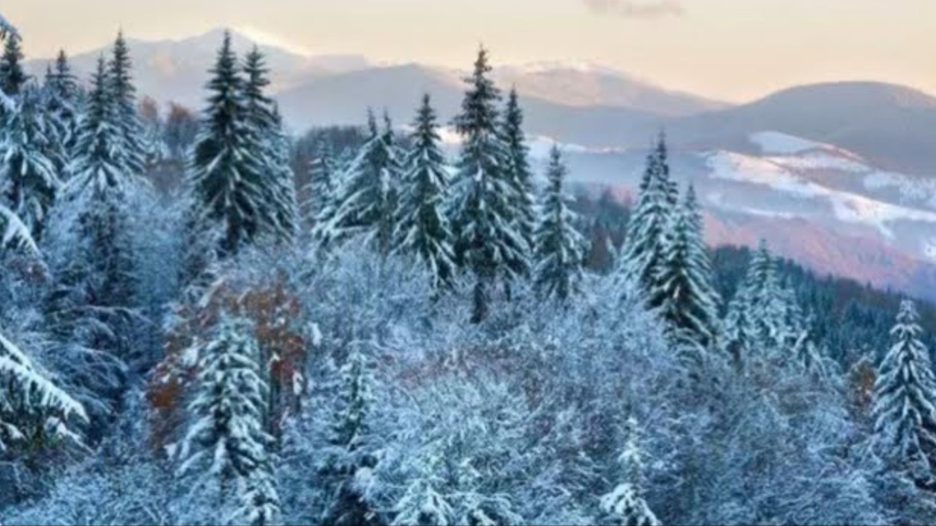 ЛЮДИ ГОВОРЯТ…РИТУАЛЫ ПОМОГАЮТ ВЫЖИТЬ…