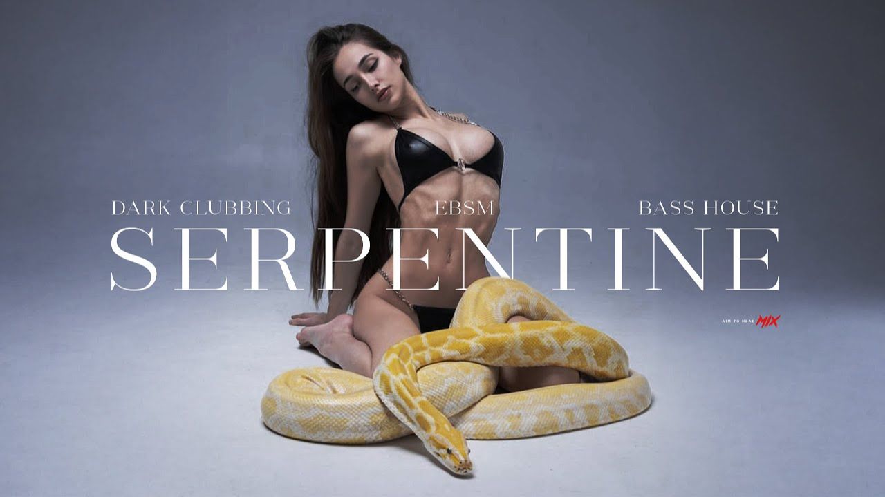 Dark Clubbing / Bass House / Dark Techno Mix 'SERPENTINE'