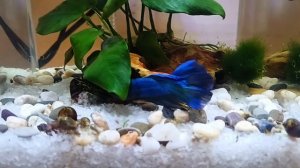 От Елизаветы дочке на 10-летие