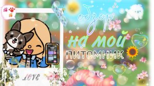 обзор на мой питомник 1 часть тока бока