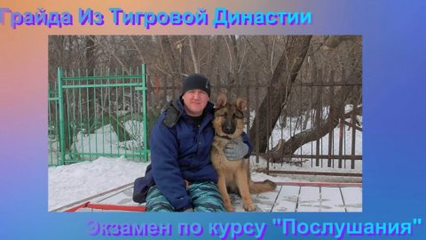 Экзамен по курсу послушания. 03.22