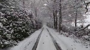 14 декабря - Тайная сила. Как изменить все и притянуть, что важно.