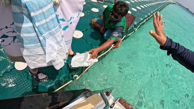 Споласкивают ноги при посадке на катер Таиланд 2025 смотреть онлайн