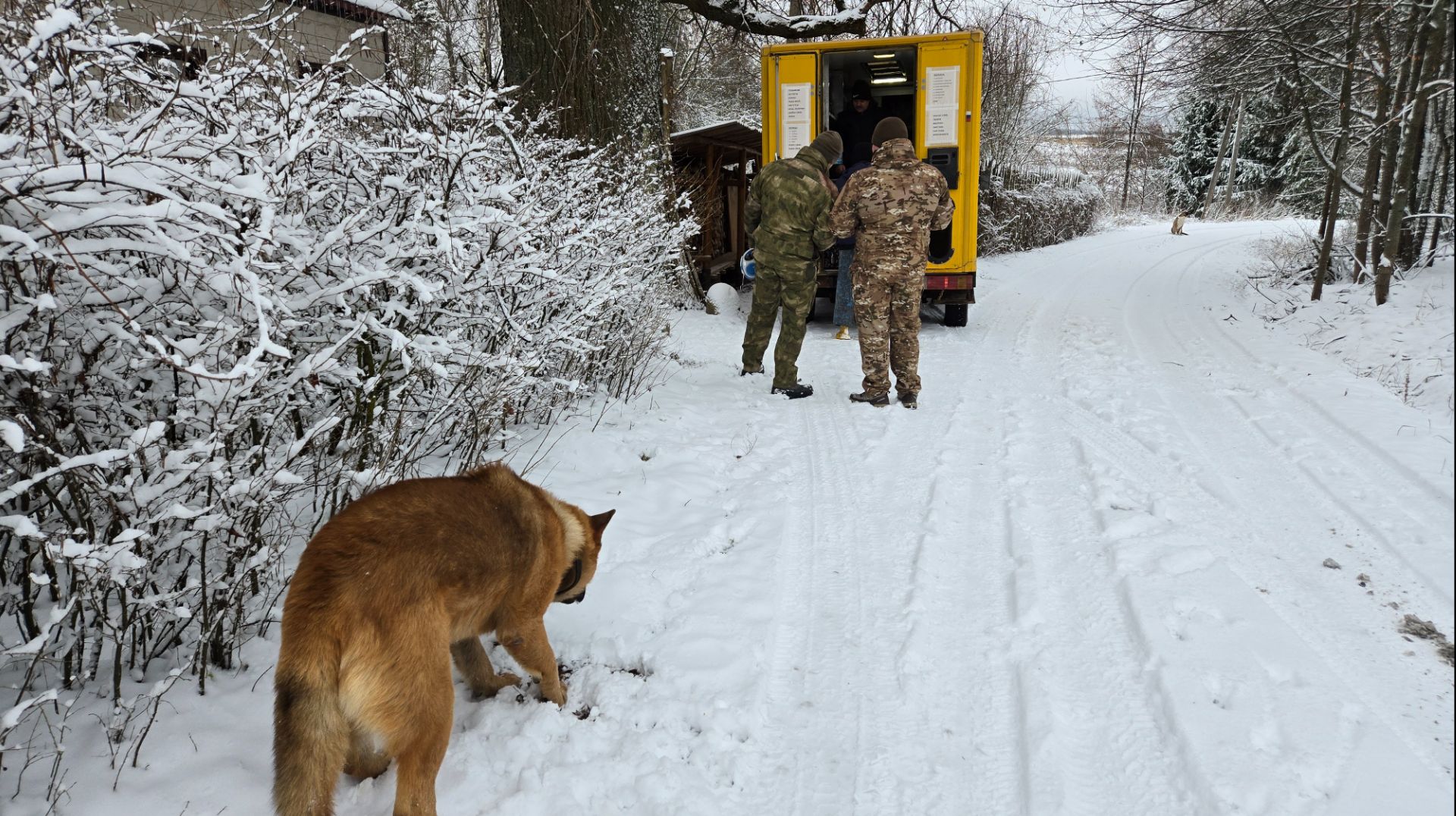 Снежный день, прогулка после автолавки и купание вазы