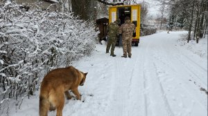 Снежный день, прогулка после автолавки и купание вазы