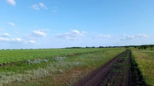 Исчезнувший посёлок Кривой, Калининский район.