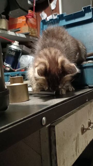 🛠️ В #ЛебедкаСервис обучают сотрудников: моторы, лебёдки и правильный подход к еде