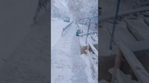 Пошла за сигаретами 😏