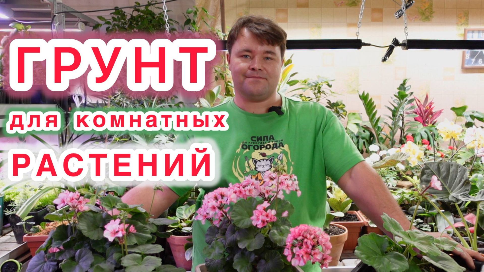 САМЫЙ ЛУЧШИЙ ГРУНТ ДЛЯ КОМНАТНОГО ЦВЕТОВОДСТВА.