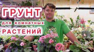 САМЫЙ ЛУЧШИЙ ГРУНТ ДЛЯ КОМНАТНОГО ЦВЕТОВОДСТВА.