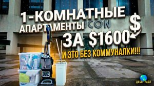 Мы убираем в квартире и сдаём экзамен по вождению! VLOG USA