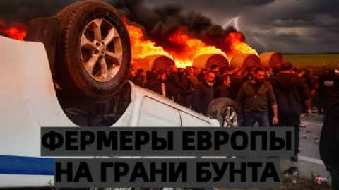 Европейские аграрии в ярости — политика против России ударила по аграриям