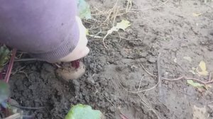 Херсонщина 13 декабря 2025 года