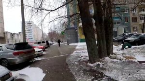 О дружбе слонихи и верблюда