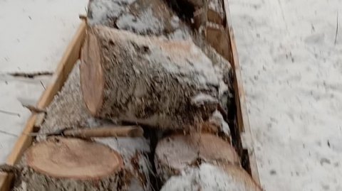 За валежником на снегоходе