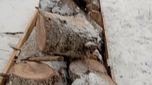 За валежником на снегоходе