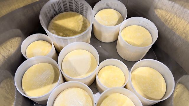 Занимаемся мелиорацией земель. Опорос Фанты.