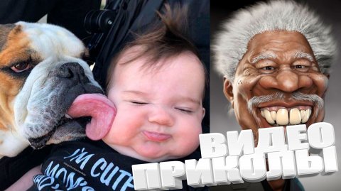 ВИДЕОПРИКОЛЫ \ КРУТЫЕ ПРИКОЛЫ 2025 \ НОВЫЕ ПРИКОЛЫ \ СМЕШНЫЕ ПРИКОЛЫ 2025 ЮМОР