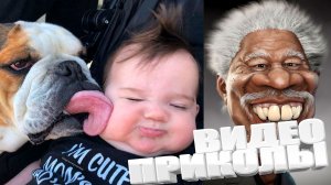 ВИДЕОПРИКОЛЫ \ КРУТЫЕ ПРИКОЛЫ 2025 \ НОВЫЕ ПРИКОЛЫ \ СМЕШНЫЕ ПРИКОЛЫ 2025 ЮМОР