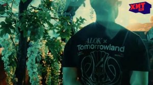 ARMIN VAN BURREN/ALOK/NORMA — EUPHORIA