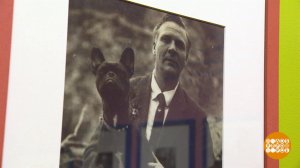 "Кто в доме хозяин?" Булька, Хрюня и другие! Доброе утро. Суббота. Фрагмент выпуска от 13.12.2025