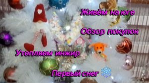 13-12-2025 Из Сибири на юг/Обзор покупок/Ёлочка 2/Первый снег на юге//