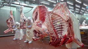 Корейское мастерство разделки коров