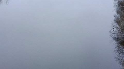 #прогулка по подвесному Мосту природа