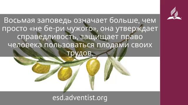 14 декабря 2025. Восьмая заповедь. Под сенью благодати - Адвентисты