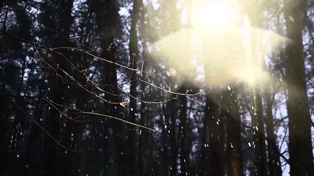 Новый 2026 год уже близок!