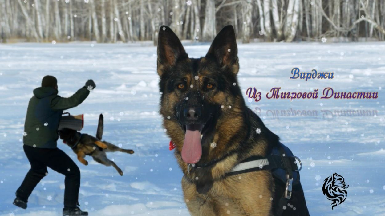 Тренировка с А. Здоровцевым . Саратово 2022