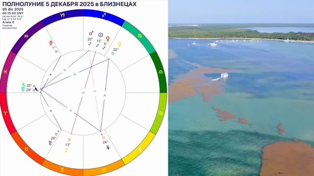 🌕ПОЛНОЛУНИЕ 5 ДЕКАБРЯ 2025❗️ЧТО ДЕЛАТЬ В ПОЛНОЛУНИЕ❓ ГОРОСКОП 5-20 ДЕКАБРЯ 2025 OLGA STELLA