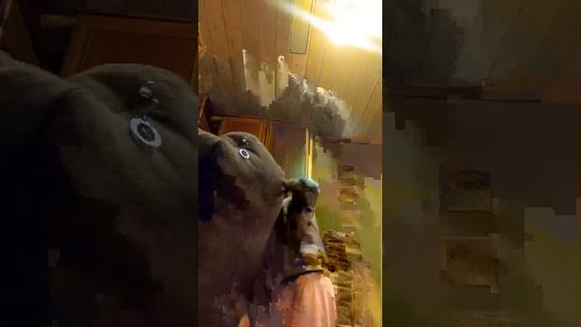 неудачный домик получился но я нормально сделала надеюсь пожалуйста если это удобно