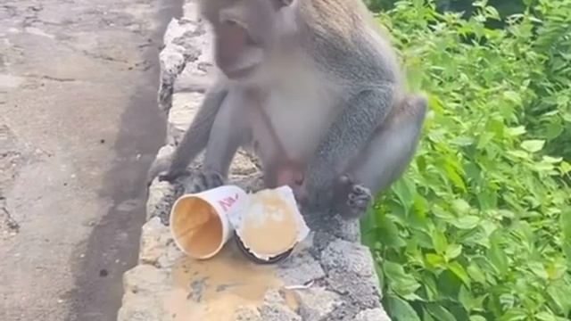 За яйца и двор е**у в упор