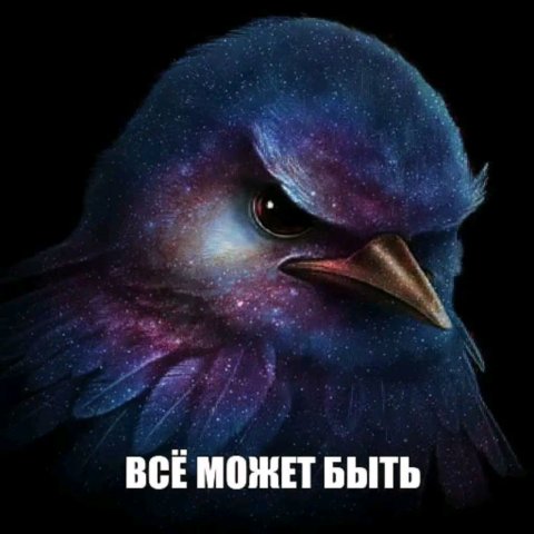 стримчик номер 2