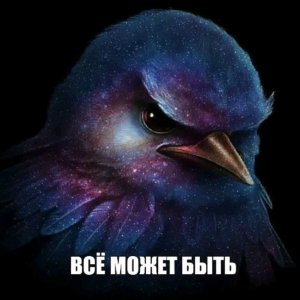 стримчик номер 2