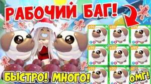 РАБОЧИЙ БАГ!😱 КАК ПОЛУЧИТЬ БЫСТРО МНОГО НОВЫХ МОПСОВ И ШАПОК В АДОПТ МИ!🐶 РОЖДЕСТВО ADOPT ME