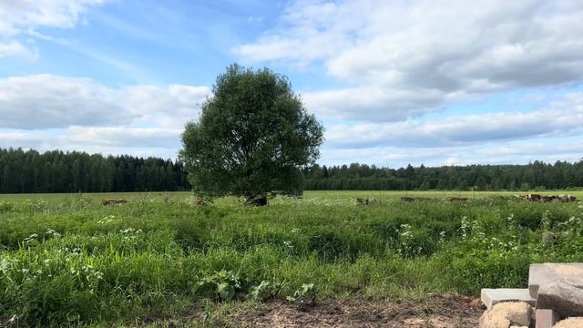 Летние денечки на ферме! Провалилась с телегой сенажа! Занимаемся ремонтом техники! смотреть онлайн